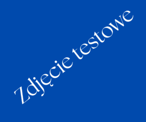 Zdjęcie testowe